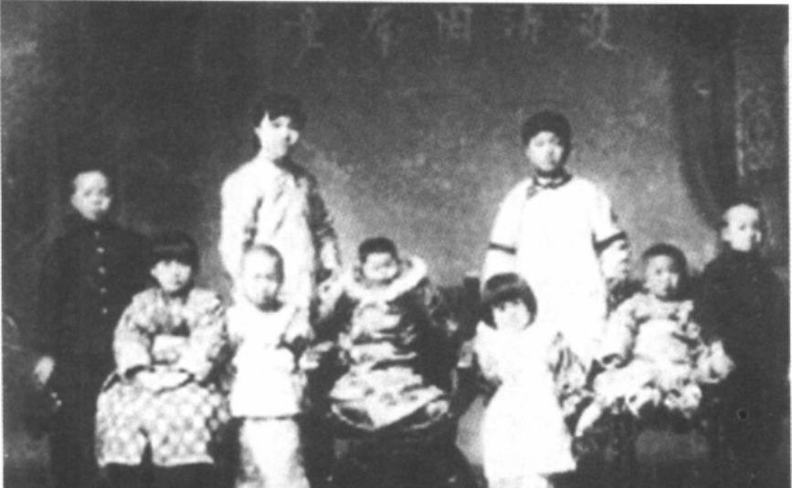 95年，梁家子女在梁启超和李蕙仙合葬墓前竖起衣冠冢，此人是谁？“妈，碑文就写这
