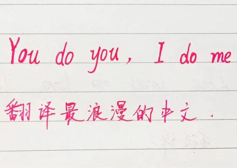 以你的文采和英文水平，你会如何翻译：Youdoyou,Idome。