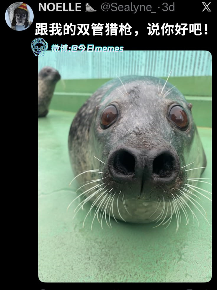 哼哼（Sealyne_）今日meme今日memes