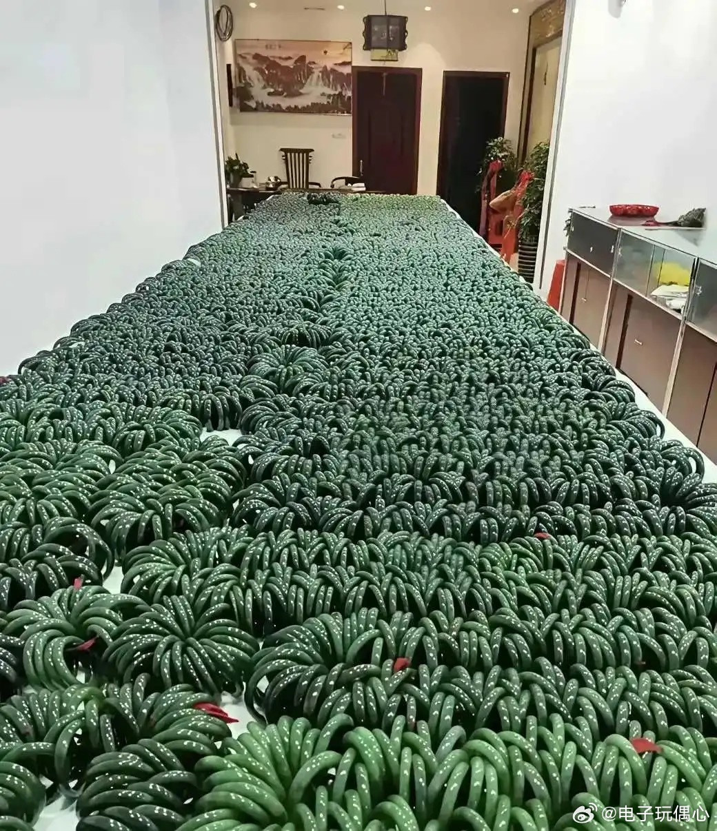 房子过剩，你们看这个呢？