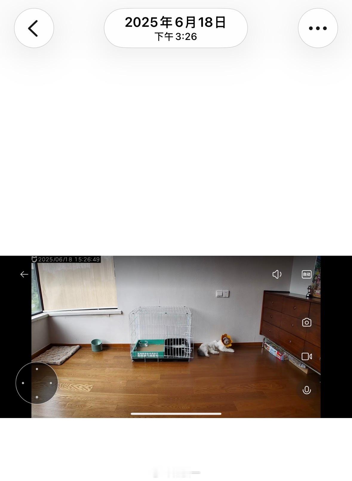 去年夏天我和周威救助了一只母猫在地下停车场半夜我们去宠物医院做完检查回来