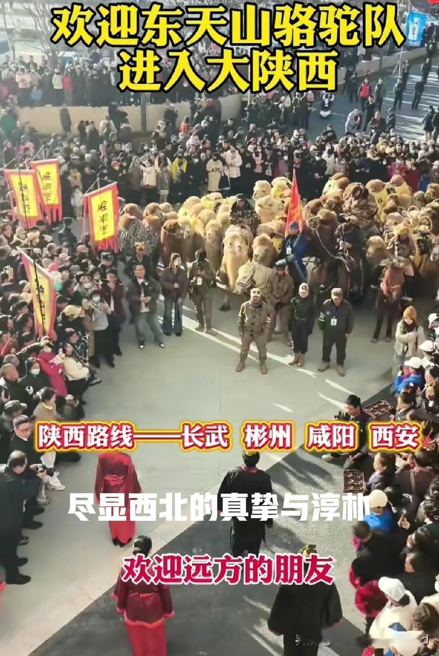 东山驼队一路走来，尽显西北人民的真挚与淳朴，虽然没有像河南一样跨省慰问。但