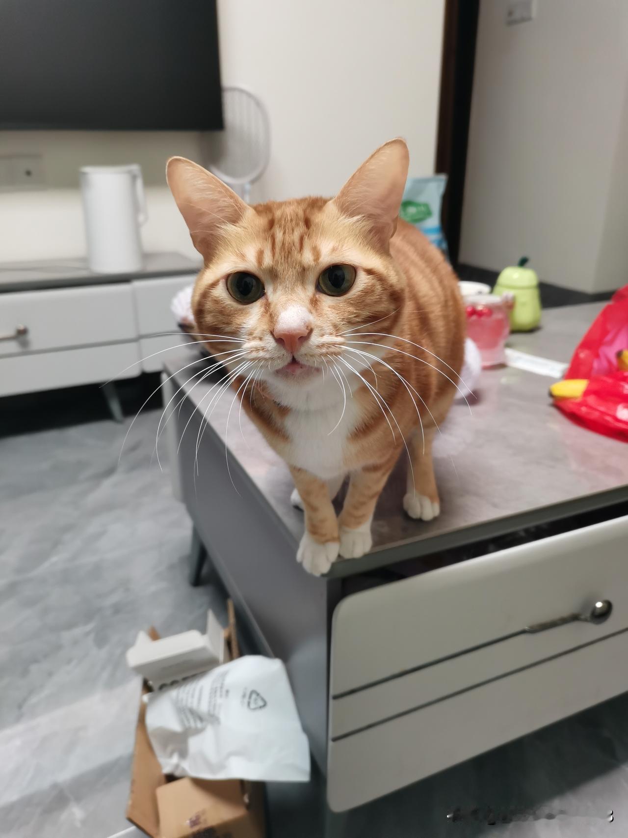 以前总有亲戚朋友说堂姐夫妻俩不会过日子，每人每个月有几千元工资，都被他们发得精光