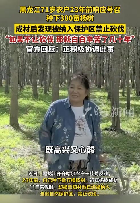 黑龙江齐齐哈尔，一女子响应号召承包了360亩地种植3万棵杨树，20多年陆续投入了