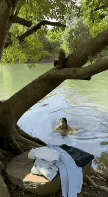 救命！这只小松鼠也太会“耍赖”了吧！简直是成精了的程度！明明是偷偷蹲守了全程