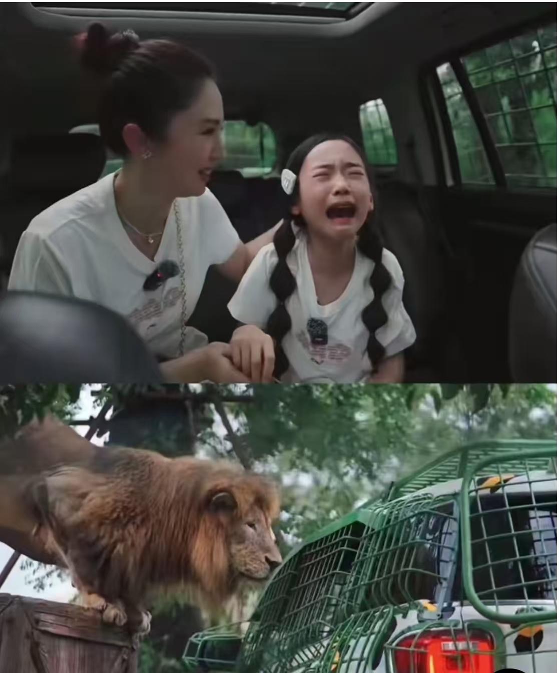 小酒窝越是懂事可爱，越让人心疼，这是单亲家庭典型的讨好型人格。小酒窝才9岁，但