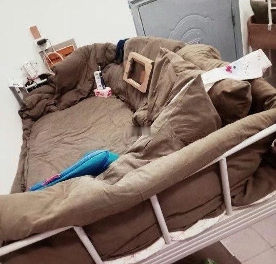只有大学生才懂这个含金量