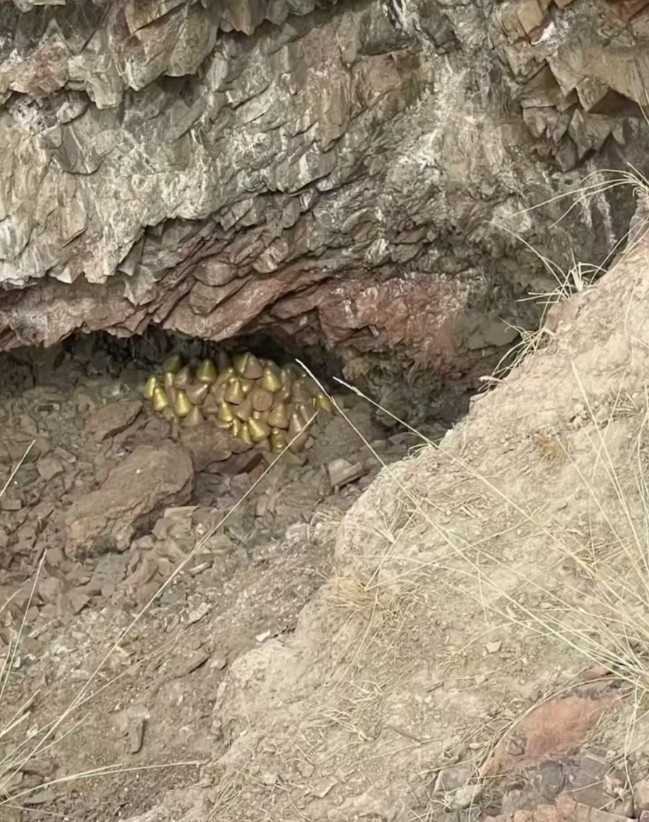 我就想知道我捡了犯不犯法？