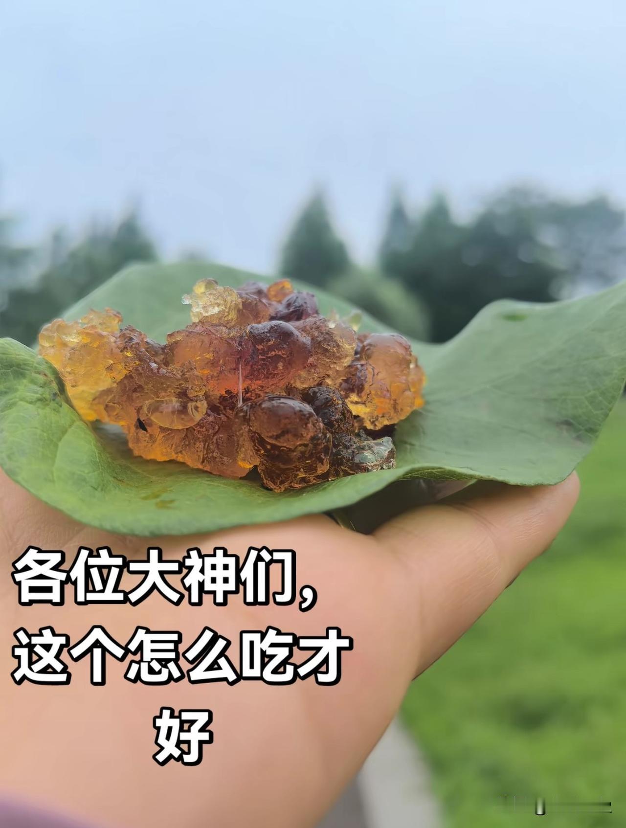 各位大神们，这个怎么吃才好？