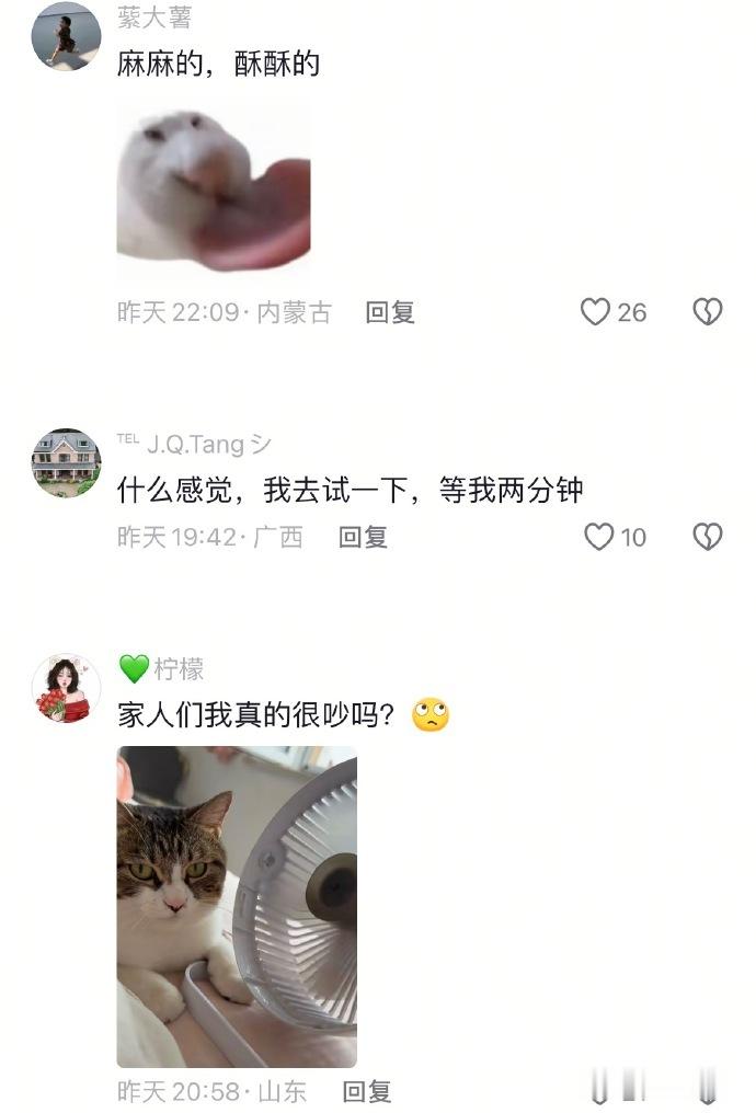 怎么会有猫咪会喜欢舔风扇[跪了]​​​​