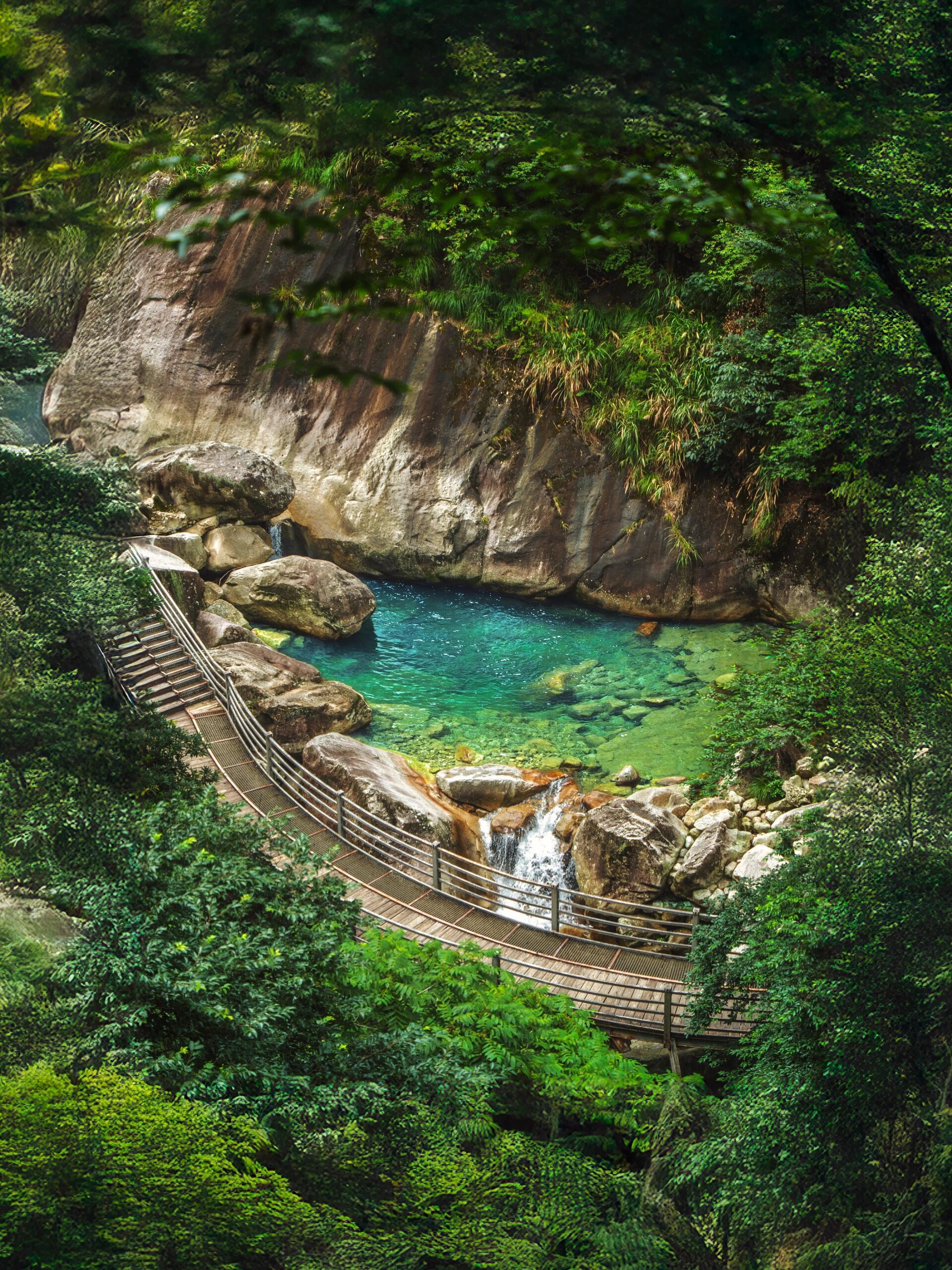 去吹吹山野的风，看看漫山草木，听听林间流水，大自然会悄悄接住你所有的疲惫不必焦虑