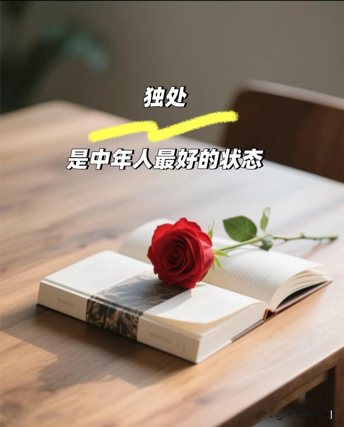 现代社会竞争激烈，工作和社交消耗大量心理能量，独处成为恢复精力的重要方式。个体意