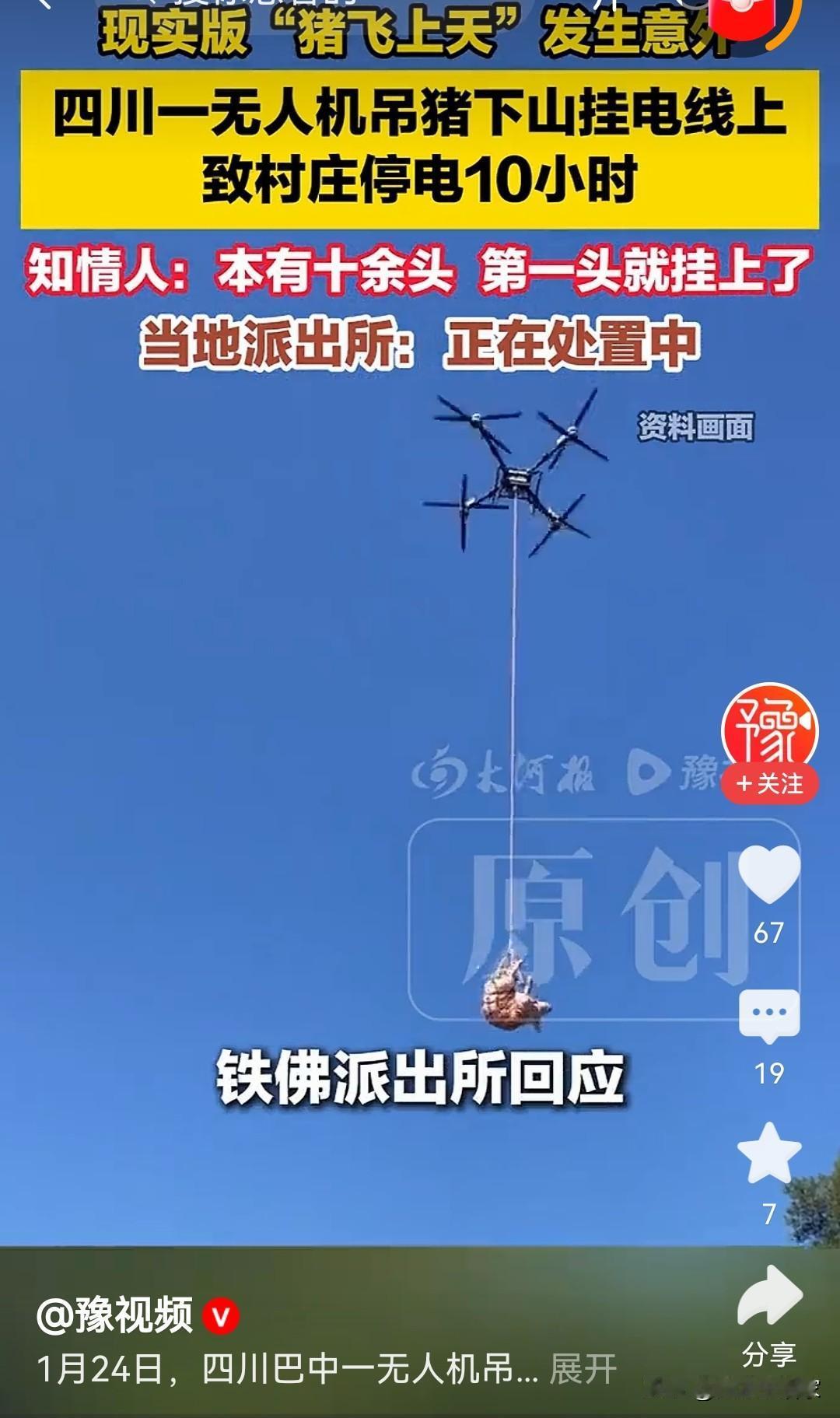 今年的猪能不能安安稳稳挨一刀过年了。四川巴中被吊起的猪说：“这被吊在天上上上