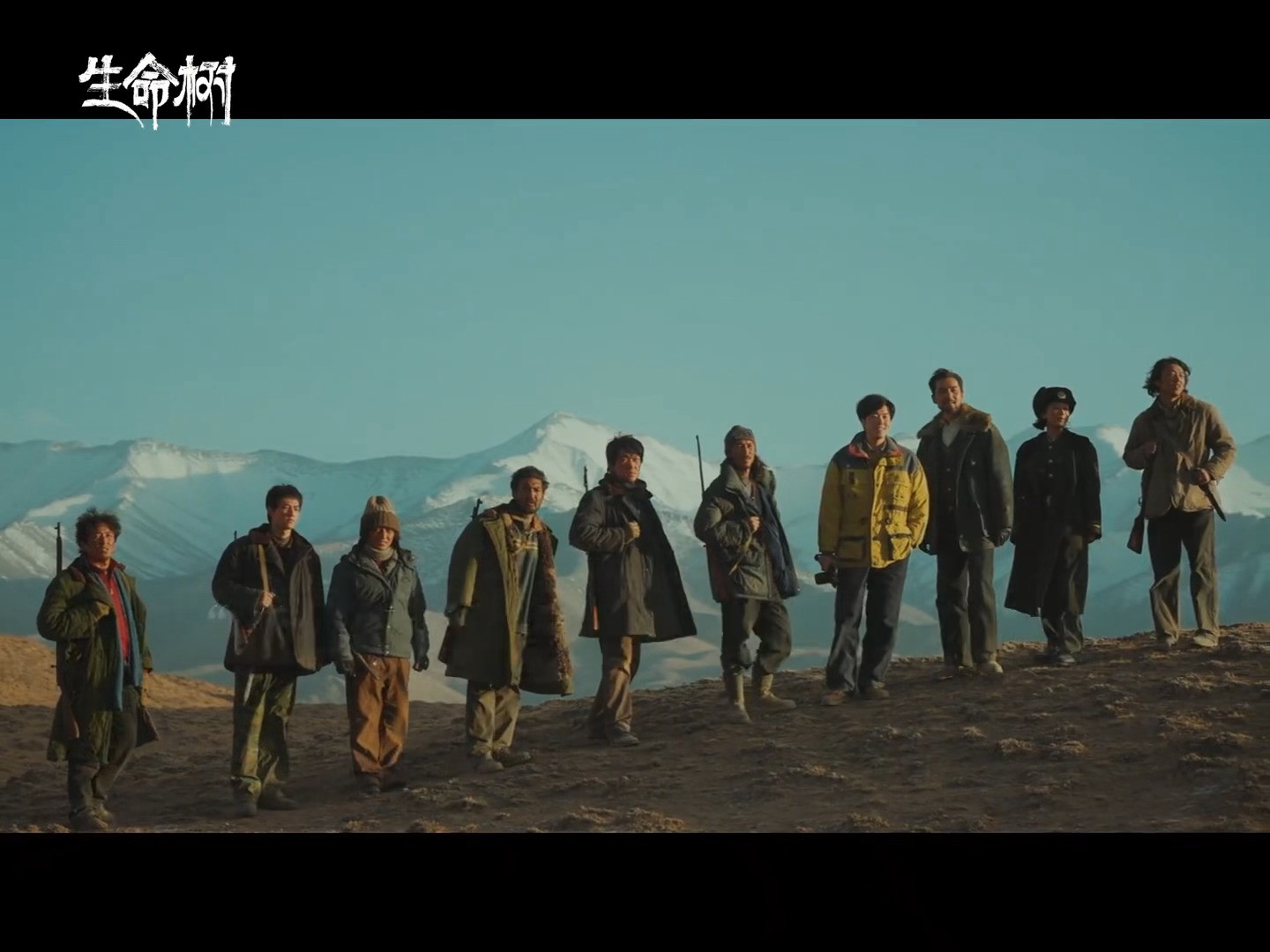 卧槽好精彩生命树