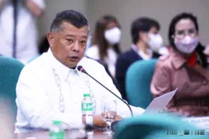 菲律宾监察专员雷穆拉本周六表示，未来两周内将针对涉嫌参与异常防洪项目的人员发出更