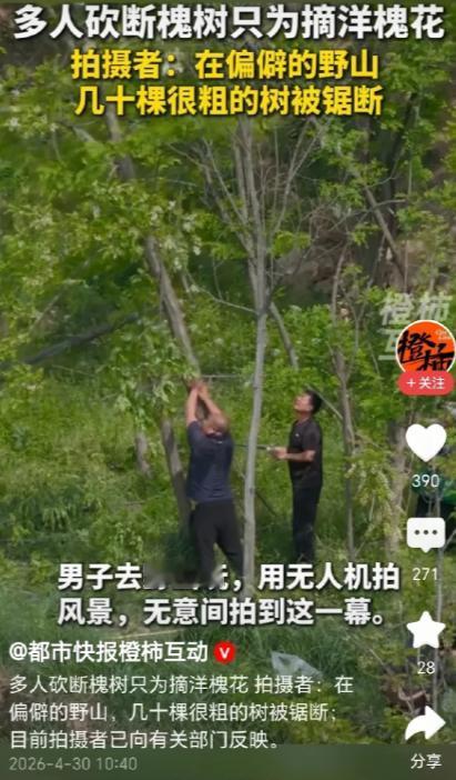 气得发抖！4月30日报道，陕西一男子跑到深山里用无人机航拍风景，无意间发现树林深