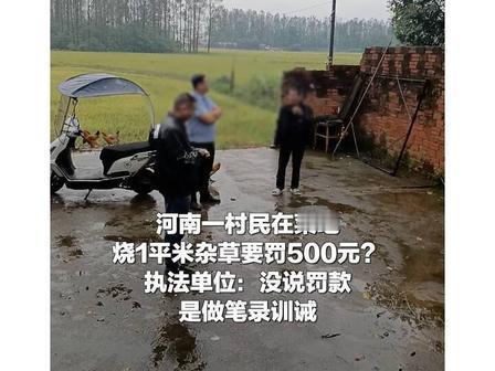 ”好大的官威！“河南固始，53岁身患癌症的大姐，就在自家菜园烧了仅仅1平米的杂草
