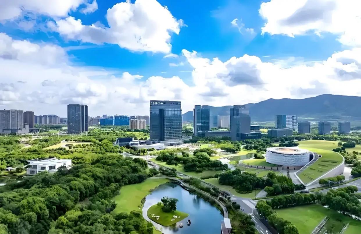 辽宁这波动作，确实释放了一个很强的信号。说白了，就是动真格去“挤水分”，把那些虚