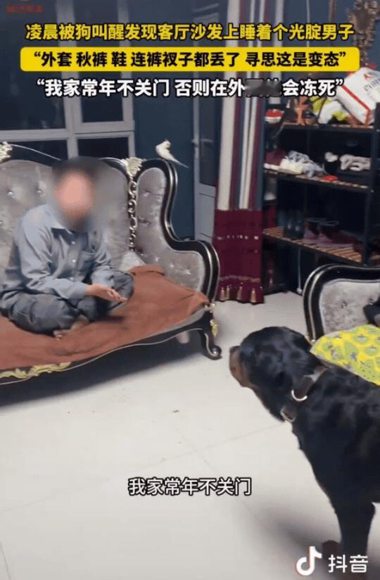 辽宁朝阳，凌晨3点，韩先生被自己家的狗叫醒了。他走出卧室一看，客厅的沙发上躺着一