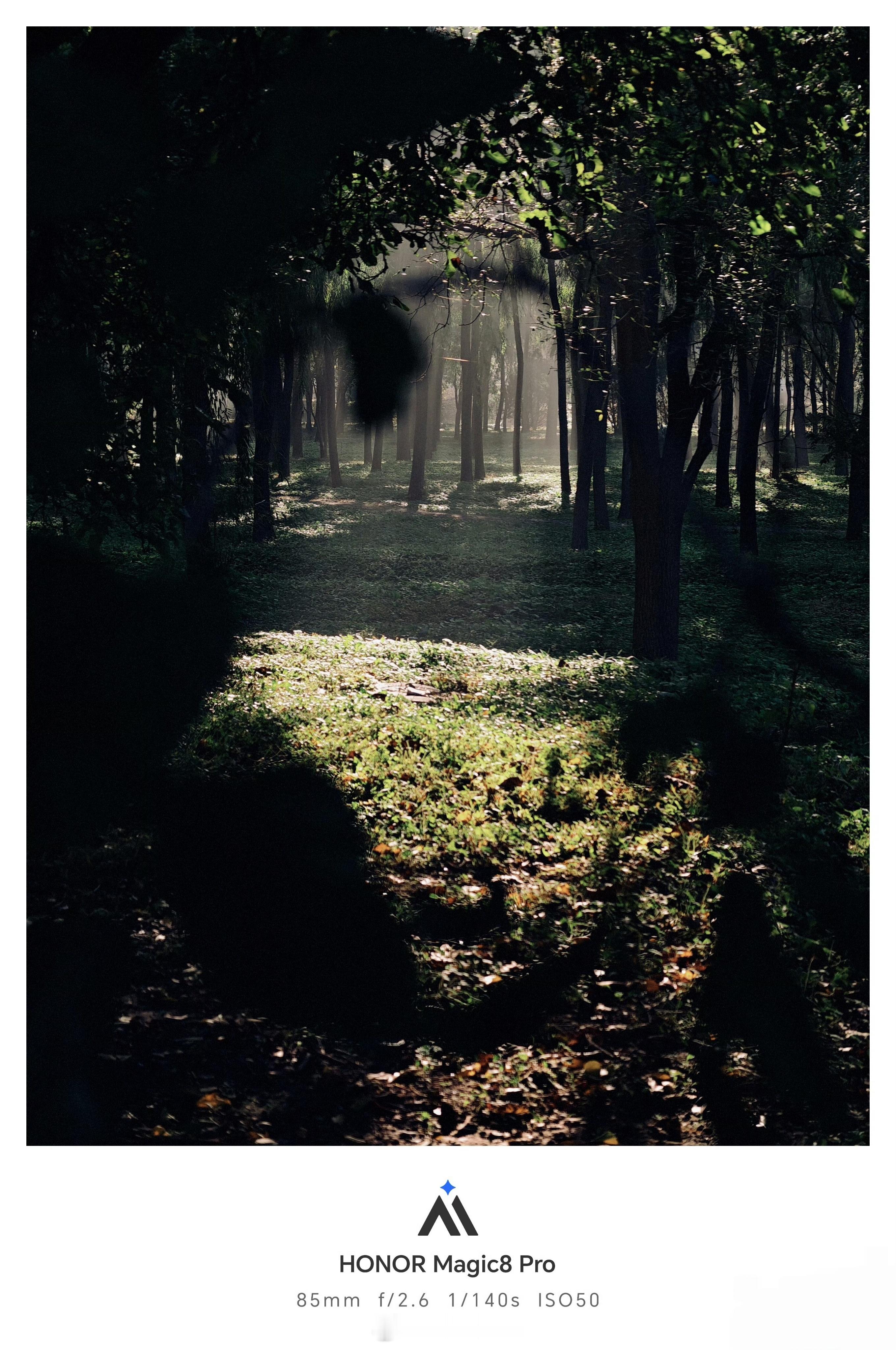 荣耀Magic8Pro新水印估计即将上线，这款新水印好看。​​​