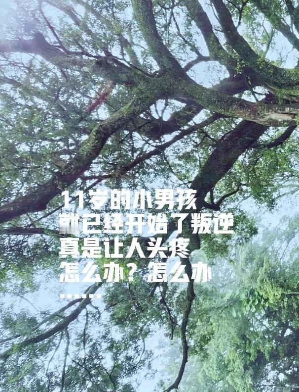 才11岁的男孩子就开始叛逆，真是让人头疼……今天下午3:00的时候，太阳猛烈