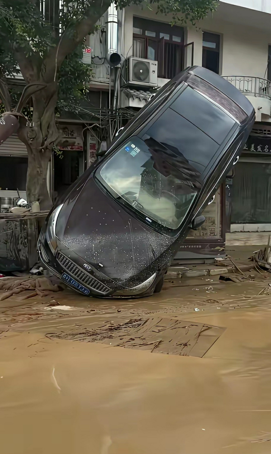 洪水过后……