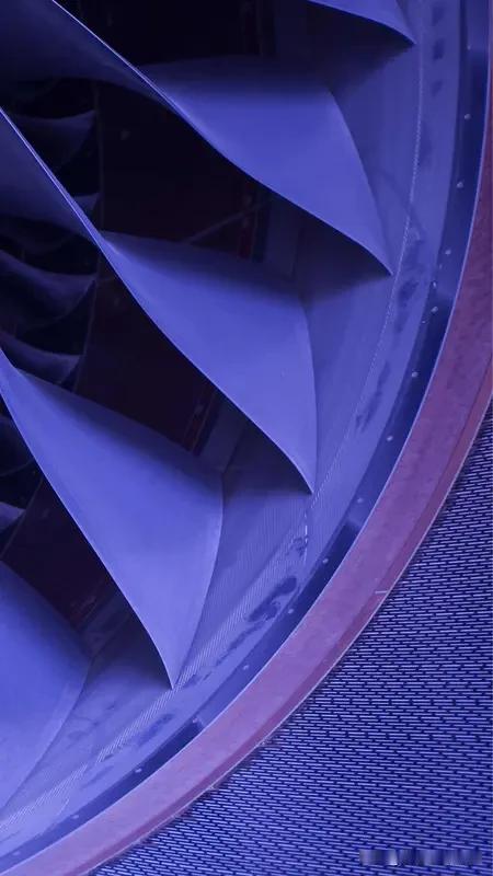 中国为何大方公开涡扇-19数据中国大方公开涡扇-19数据，这里面门道可不少