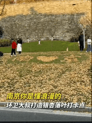 “火到央视了！”江苏南京，一位环卫大爷火了，他看着草地上掉落的银杏叶，又看看时不