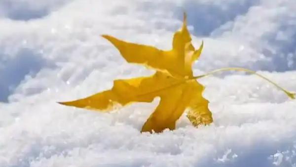 冷空气杀到！东北内蒙迎暴雪，华北气温要“跳水”10月26至27日，冷空气正
