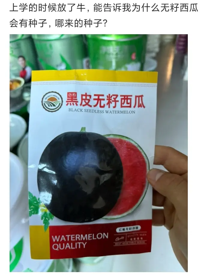 为什么无籽西瓜会有种子，哪儿来的种子