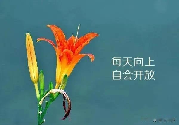 男人想逆天改命，别先急着搞钱，先把自己的精气神守住。《黄帝内经》里说“肾者