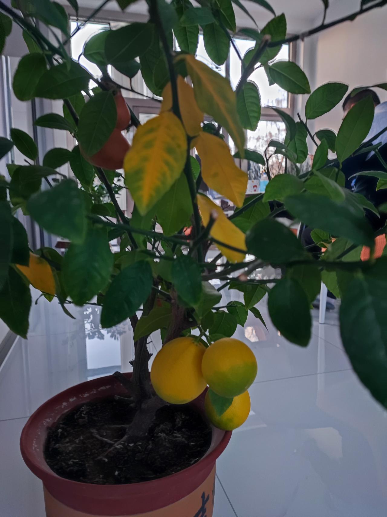 这事能说吗？三十万啊！闺蜜的儿子打电话要三十万块钱，说去年签士官的时候作弊了