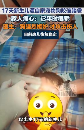 “悲剧还是发生了！”7月13日报道，浙江，一对年轻夫妇家里养了只狗，好多年了，平