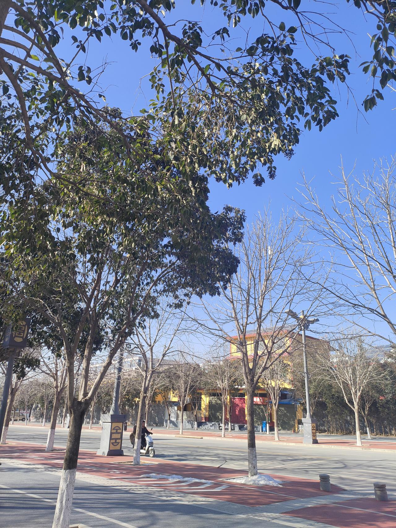 前阵子刷到个数据，说人这辈子按百岁来算，也就短短三万多天。当时拿着手机一算，自己