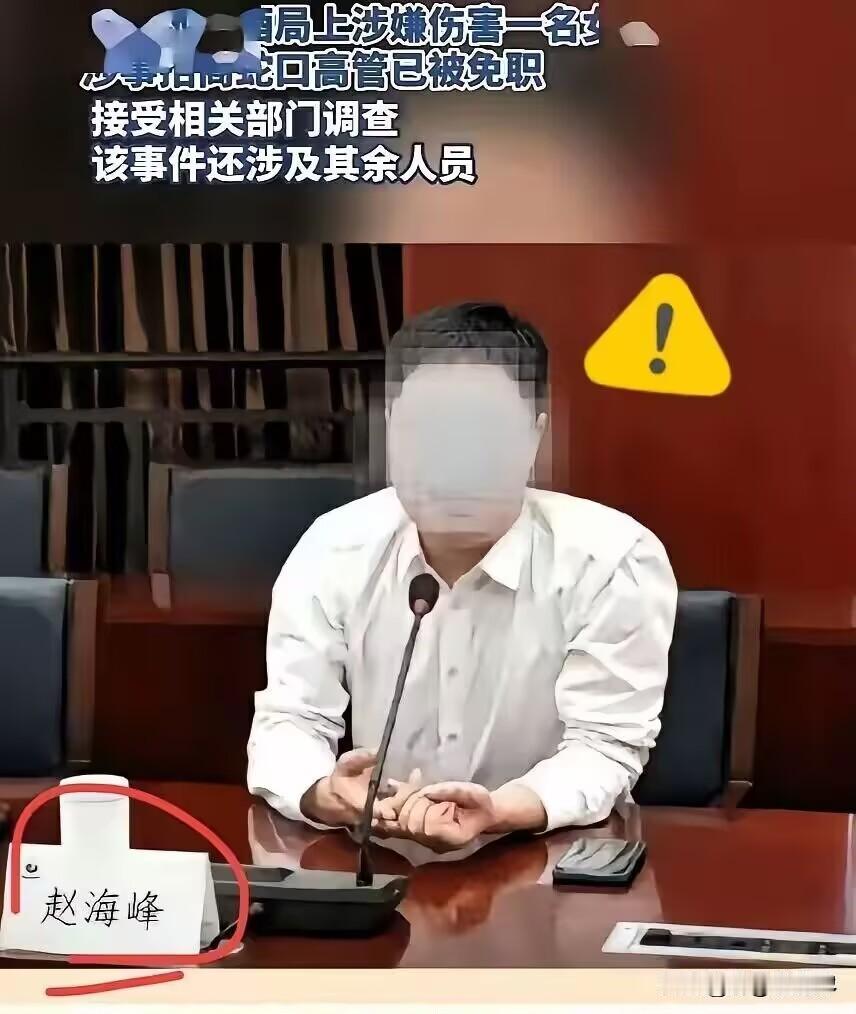 8月18日通报出来了，赵海峰被刑拘、被免职。同一张通报里还有另一名涉案人员郁某栋