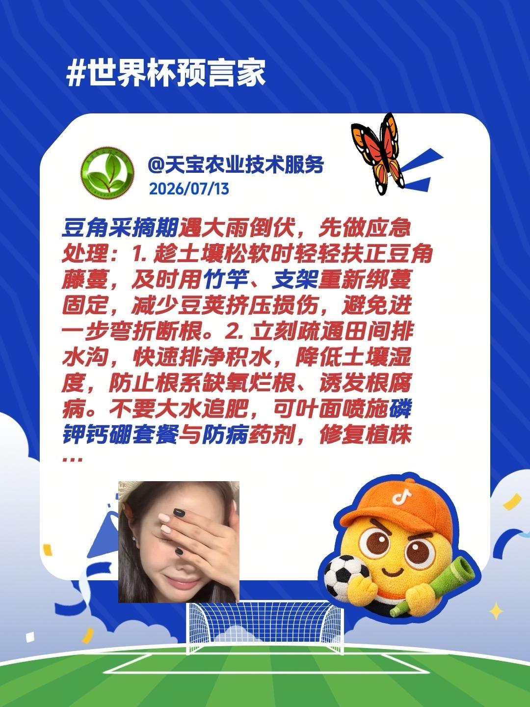 豆角遇雨倒伏咋办？我评论了@ㅤㅤㅤㅤㅤㅤㅤㅤㅤ的作品：豆角采摘期遇大雨倒伏，