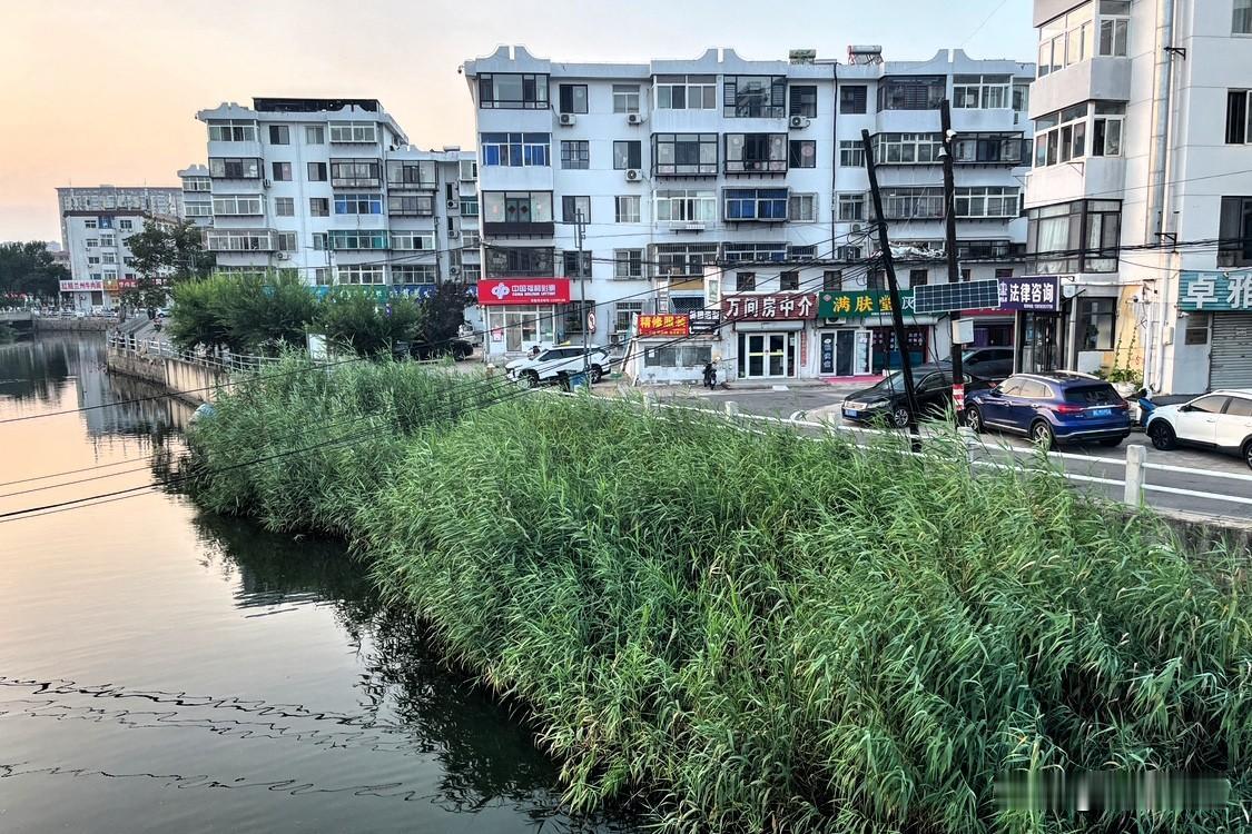 读懂广州收房新政：楼市下半场，普通人该如何规划买房卖房？广州二手房收购试点，