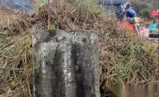 有些事儿，真的就是冥冥之中注定的。贵州一个大姐，扫墓的时候，顺手扒拉开一个野坟堆