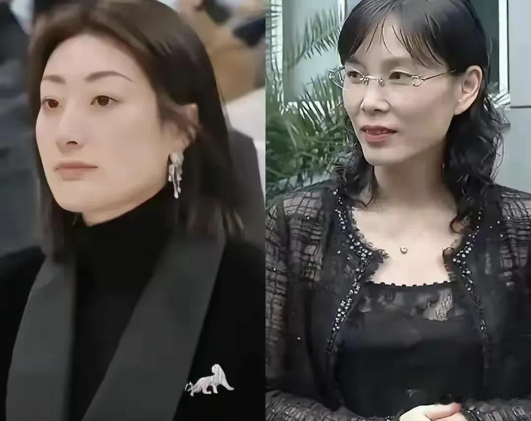 杜建英貌似有51家公司，有的涉及到电力以及18家娃哈哈工厂，更是第二大娃哈哈股东