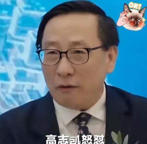 那个瞬间，我鸡皮疙瘩都起来了。BBC的直播间，对面坐着那个逃犯，高志凯就那