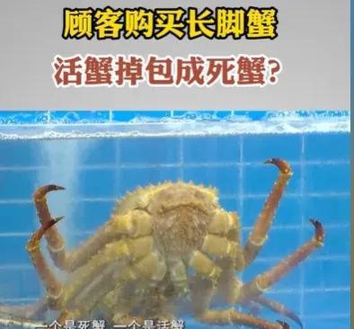 浙江杭州，女子和上班卖海鲜，有一个顾客买了2只长腿蟹，2斤重，大概200元，女子