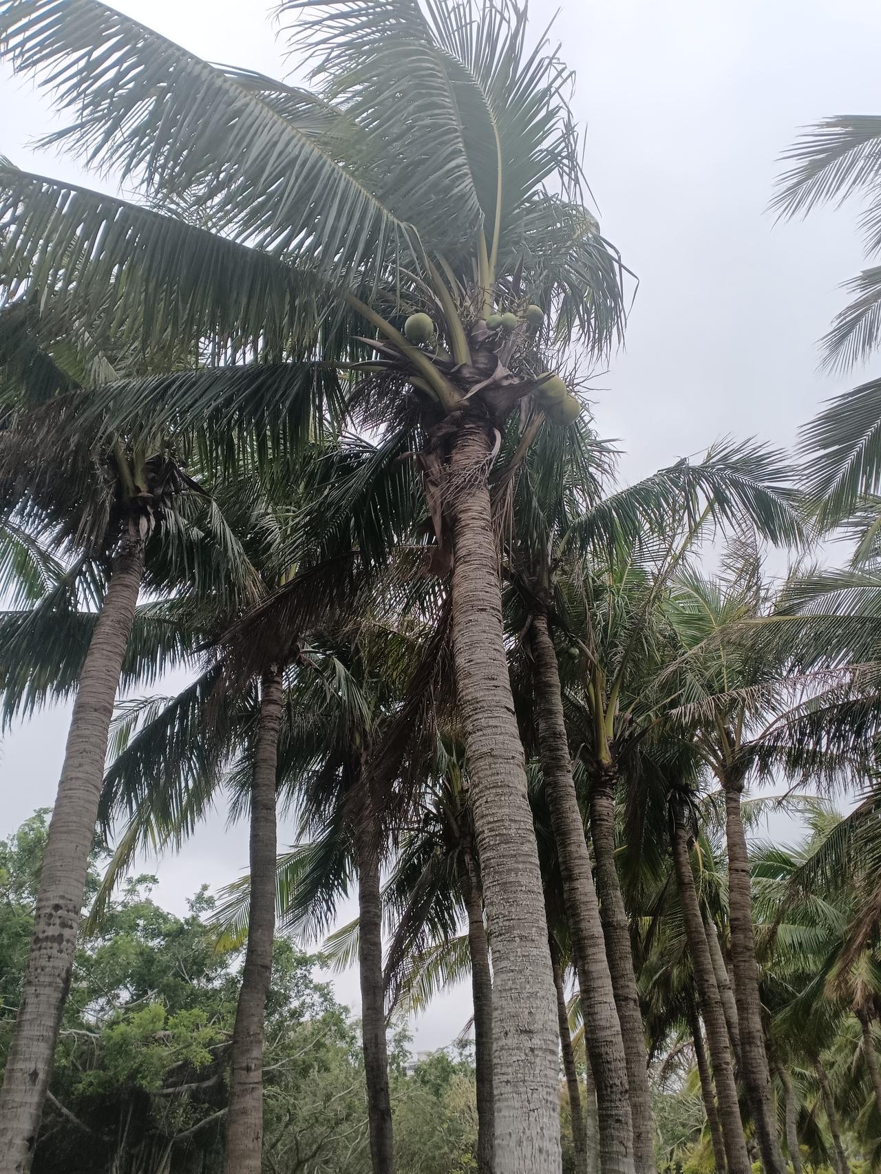 原来，家里的干净整洁，从来都不是理所当然醍醐灌顶的一段话：“很多人可能不