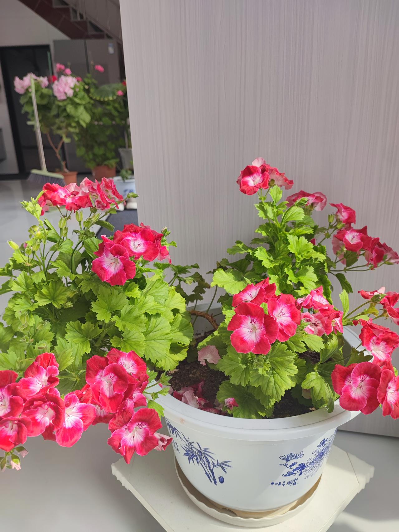 当妈的都是如此吗今天和朋友去商场购物，朋友们买的都是一千多块钱一件的衣服，