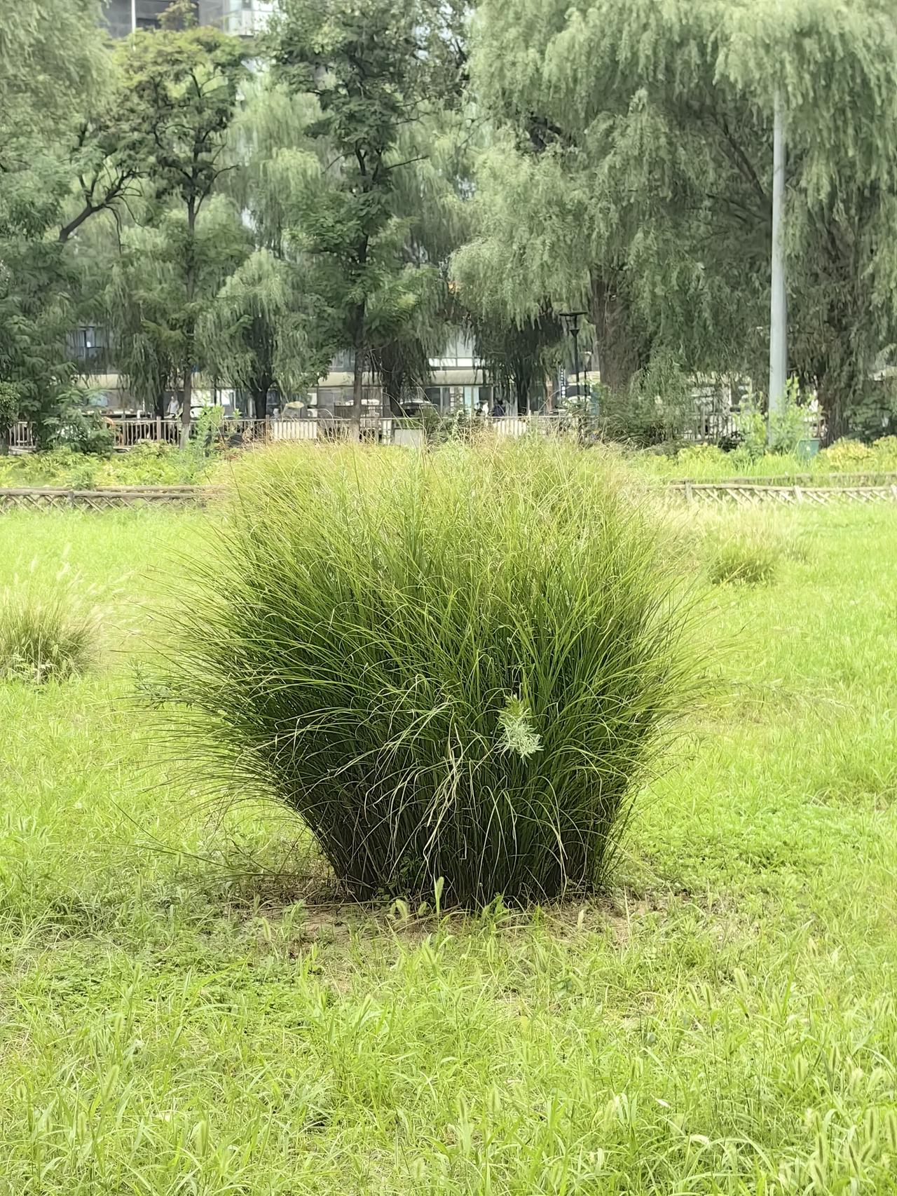 成长型银行股当下性价比更突出。买银行股票，成长性第一。没有成长性的银行，坚决不碰