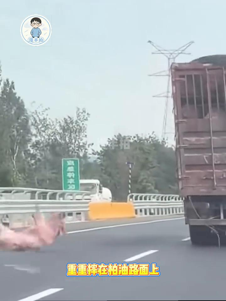 它从疾驰的货车上跳下来，重重摔在柏油路面上，趴在那一动不动。女子停车走近，还以为