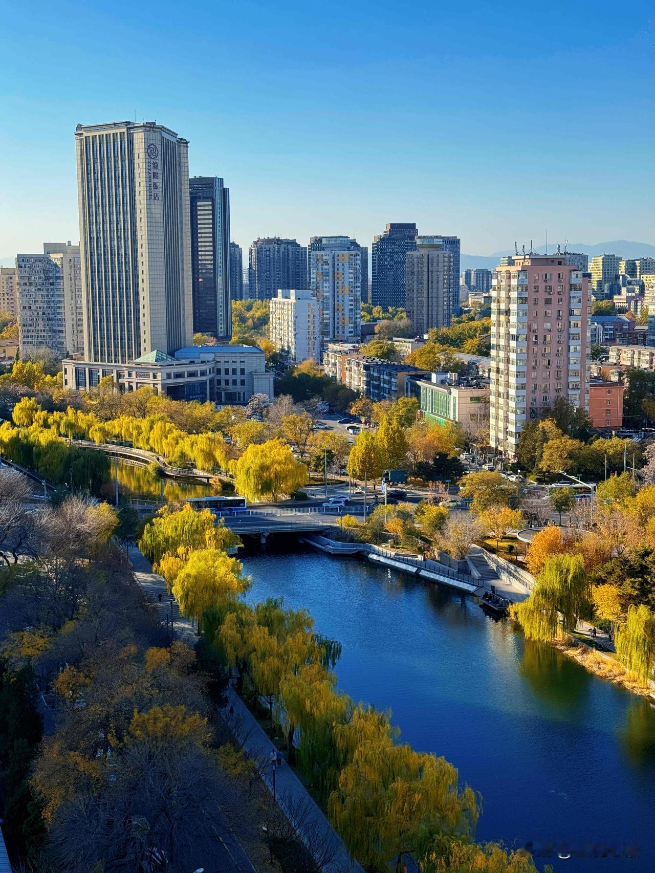 北京的“塞纳河”亮马河，秋景直接杀疯了❗️金黄树叶挂岸边，风一吹簌簌落。水