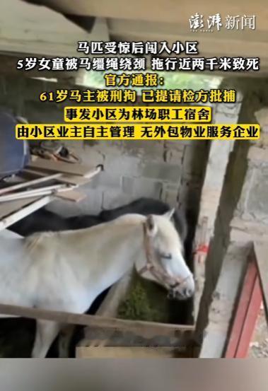 2026年5月24日，贵阳官方通报的一起悲剧，看完让人脊背发凉，满心悲愤。谁也想