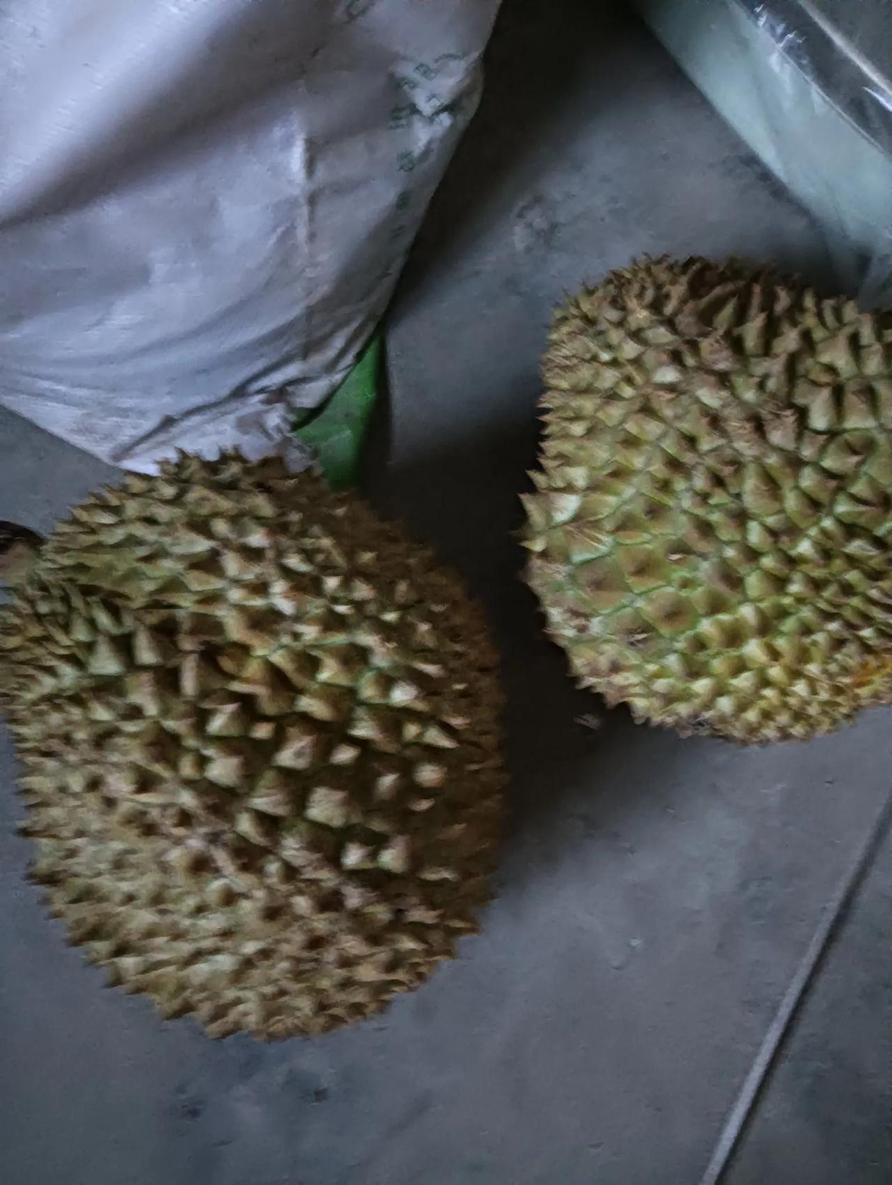 榴莲8.8一斤，大家都抢了！上午，送完儿子上学回来，老爸还没醒，外面还