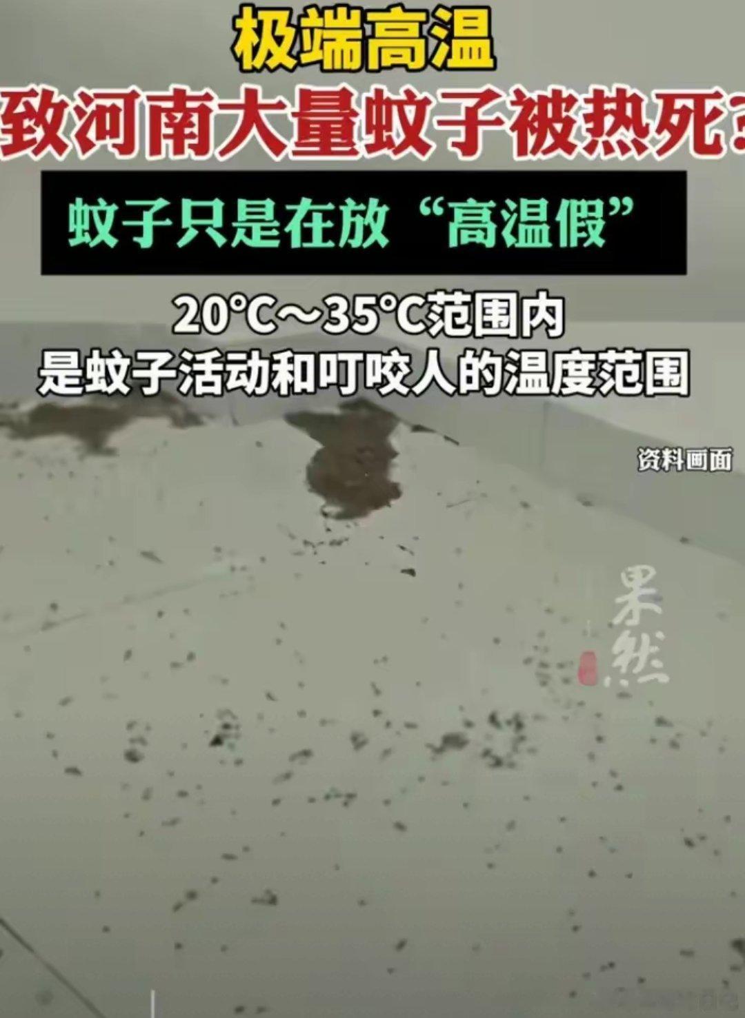 河南有多热？热到河南已经没有蚊子了……​​​