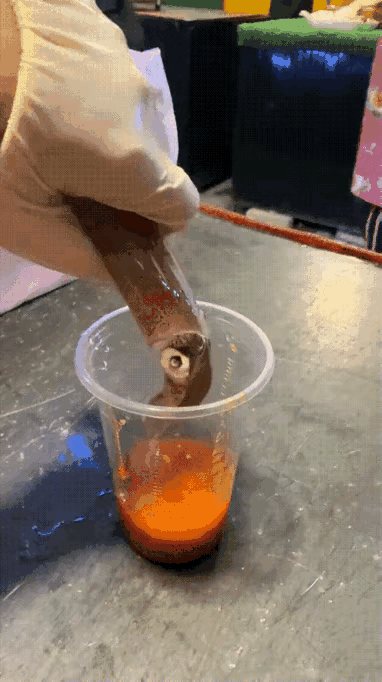 居然敢生吃鱿鱼太厉害了